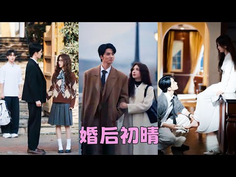 結婚1年他們按部就班相敬如賓，可這份寧靜被她歸國的前任打破，向來沈穩自持的周總變得坐立難安，眾人打趣他杞人憂天，卻無人知曉這段婚姻的起點，並非兩情相悅，而是他放低姿態：不如我們試試？我不介意你心裏有他