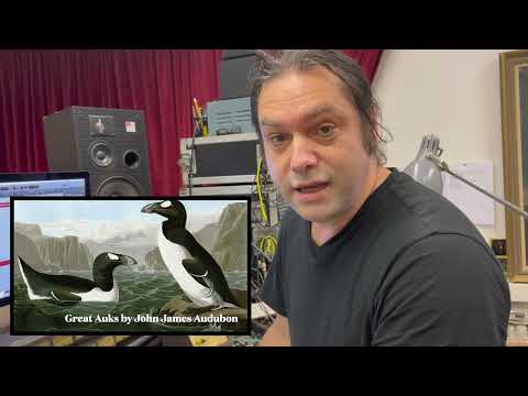 Hill Audio Concept 200 Recording Mixing Console Demonstration