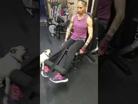 Every BODY&#39;s Fit &quot;FIT Clip&quot; 291 Video: Toes In Leg Extensions for Quadriceps/Legs
