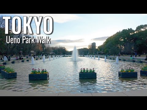Tokyo Park: A Fusion of Nature and Neon | Golden Age