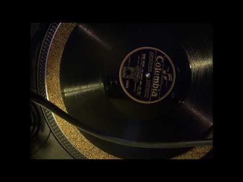 Cass Hagan Park Central Hotel Orch - The Varsity Drag (Columbia4966) (1927)