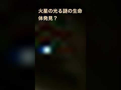 NASA の火星探査車: 謎の光沢のある物体が謎を引き起こす