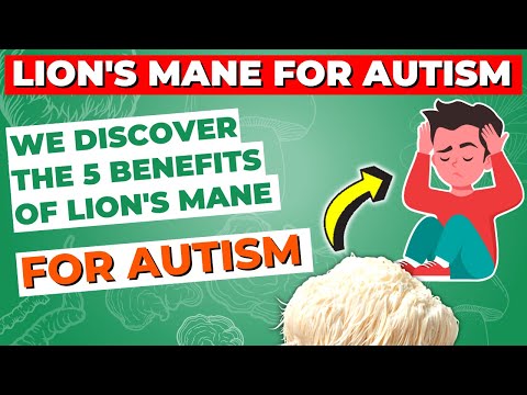 We Discover The 5 Benefits of Lion's Mane for Autism