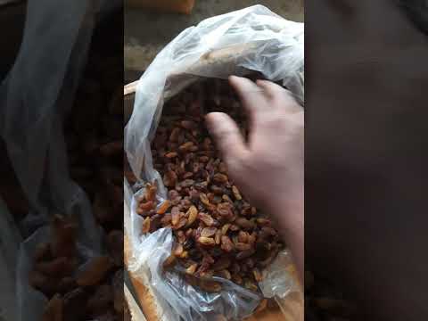 Brown malyar raisin, packaging size: 15 kg