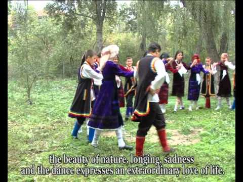 Prezentare comuna Cerna partea 3