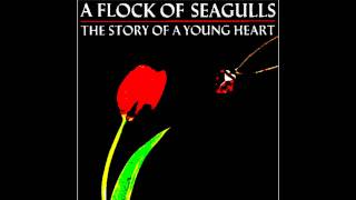 A FLOCK OF SEAGULLS - SUICIDE DAY