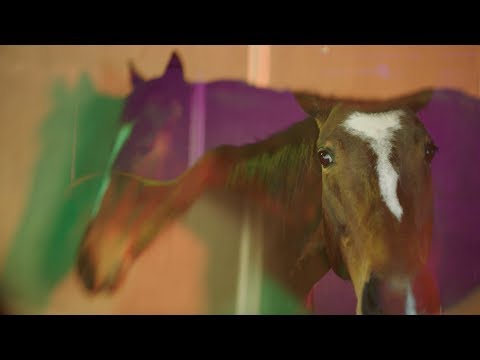 Video thumbnail for HORS_