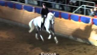 Video von Expo'se