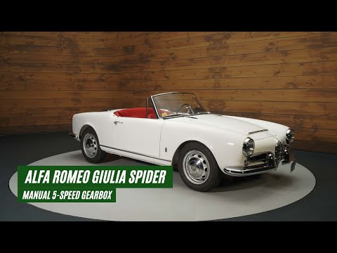 1964 Alfa Romeo Giulietta Spider (CC-1794955) for sale in Waalwijk, Noord Brabant