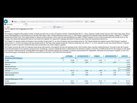 Example of Segment Reporting Walmart