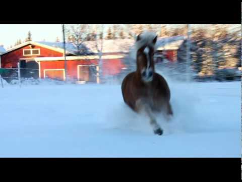 Helvi - Jos menet pois