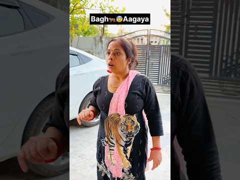 Ye Bahut Galat Hua🥺💔 Bagh Aagya #viral #minivlog #tiger #bagh #reo #leo #shadow