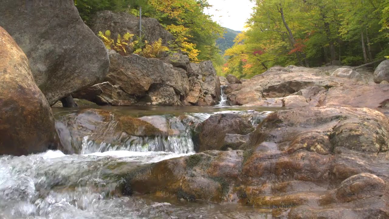 VT Stream near local Hiking area