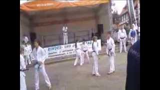 preview picture of video 'Taekwondo Vorführung des Ji-Do-Kwan in Wunstorf am 21.09.2013, Jia R.'