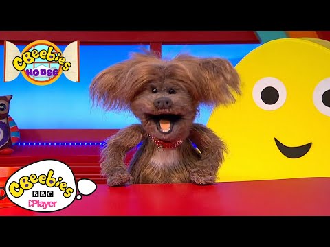 Discover and Do Learning is Fun Song Compilation｜CBeebies House (Discover and Do Learning is Fun Song Compilation | CBeebies House)