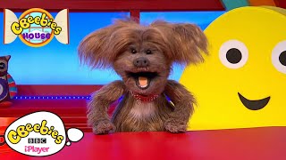 Discover and Do Learning is Fun Song Compilation | CBeebies House