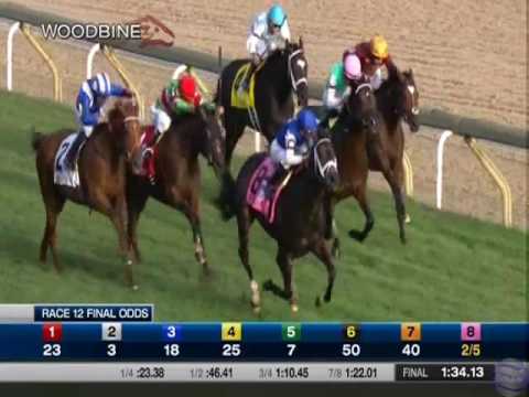 2016 Ricoh Woodbine Mile - Tepin