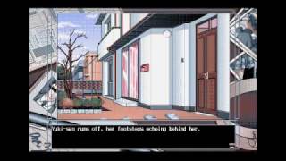 3 Sisters' Story (Three Sister's Story) for DOS