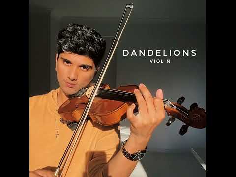 Joel Sunny - Dandelions Violin - 4 HOURS