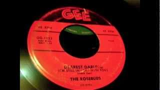 The Rosebuds - Dearest Darling 45 rpm!