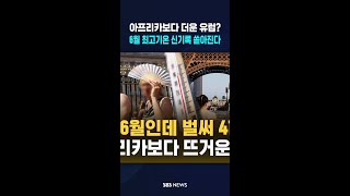 아프리카보다 뜨거운 유럽..독일은 41도 신기록 찍었다 / SBS / #shorts