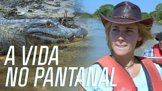 Miniatura do vídeo