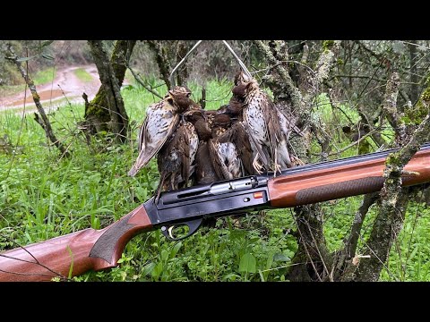 Zorzales. Reflexionamos sobre una temporada complicada.