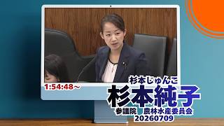 1:54:48から参政党【杉本じゅんこ】【杉本純子】🍊参議院農林水産委員会🍊20260709　#参政党 #杉本じゅんこ