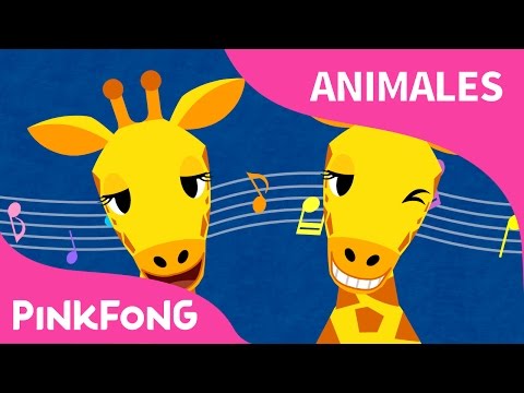Cuello Largo Jirafa  | Jirafa | Animales | PINKFONG Canciones Infantiles