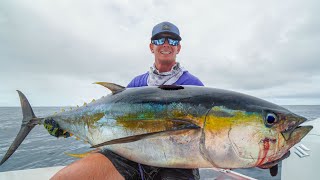 Download lagu MONSTER Yellowfin Tuna Catch Clean Cook... mp3