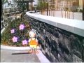 Sesame Street Short Or Tall