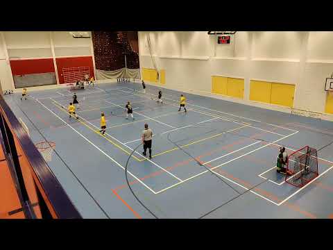 11.1.2020 D2 Welhot Wings - KallSi