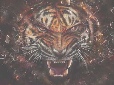 Team Winner -Romano Sean Paul- Mo Ston New Official Song 2019