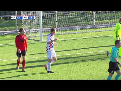 Samenvatting De Dijk - AFC