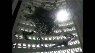 shup up and play, homenaje a Frank Zappa