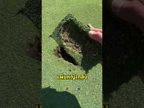 ความลับของการดูแลสนามกอล์ฟที่นักกอล์ฟมือใหม่ควรรู้ #กอล์ฟ #golf #golfcourse