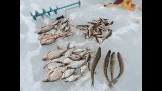 Рыбалка в карманово смоленская область