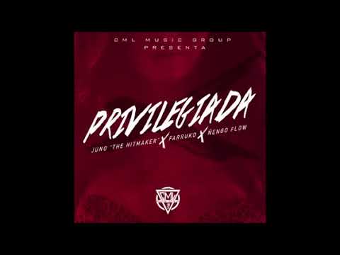 Juno "The Hitmaker" x Farruko x Ñengo Flow - Privilegiada (AudiOficial)