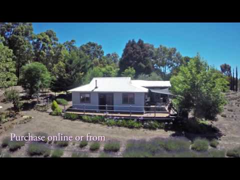 Nannup Lavender Farm Cafe and Campground