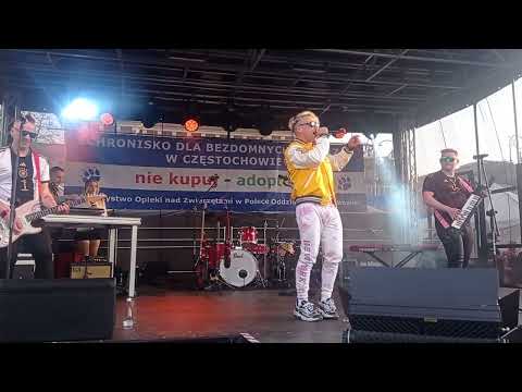 SKOLIM - Wyglądasz Idealnie  (Częstochowa 16.04.2023) „Podaj Łapę”