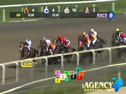 SINGAPORE RACE 03/01/2014 RACE 9 - iAgencyNet.com