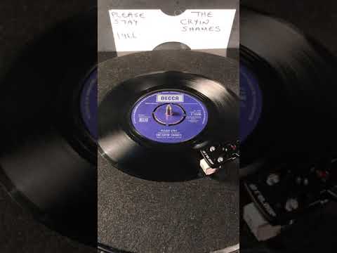 The Cryin’ Shames - Please Stay ( Vinyl 45 ) From 1966 .