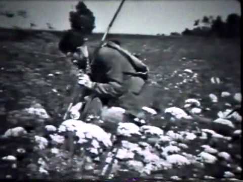 Unser Rheintal  2a/4