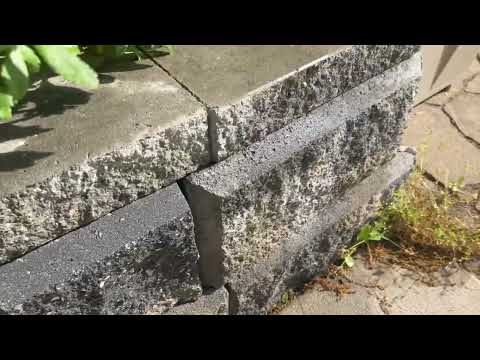 Retention Wall Covered with Clover Mites in Jackson, NJ