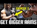 Get BIGGER Arms! My Top 4 Bicep Exercises Explained Easy
