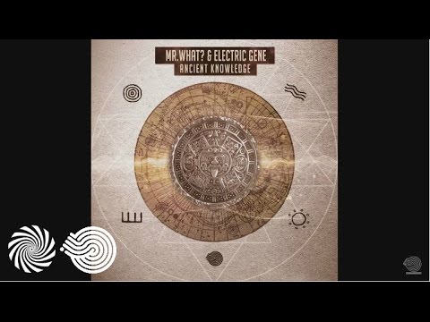 Mr.What? & Electric Gene - Origins Of The Universe