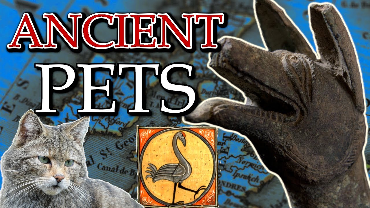 Ancient Pets of Britain and Ireland