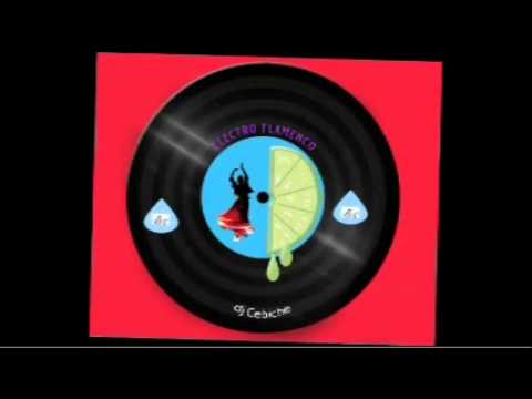 Sesion Como el agua Electro Flamenco mix by dj Cebiche.wmv