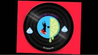 Sesion Como el agua Electro Flamenco mix by dj Cebiche.wmv