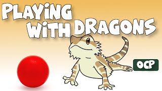 How To Play With Bearded Dragons